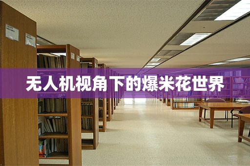无人机视角下的爆米花世界