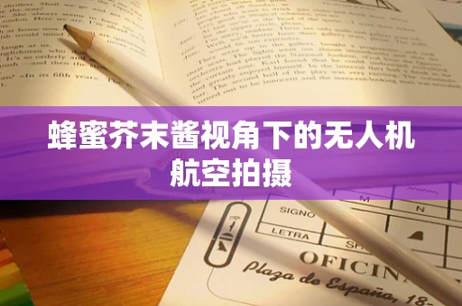 蜂蜜芥末酱视角下的无人机航空拍摄