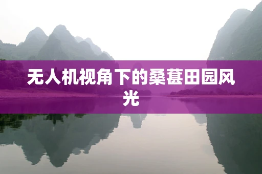 无人机视角下的桑葚田园风光