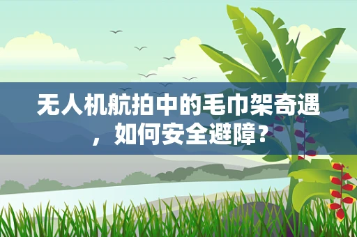 无人机航拍中的毛巾架奇遇，如何安全避障？