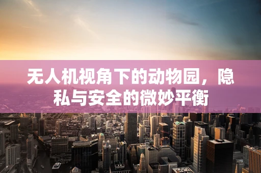 无人机视角下的动物园，隐私与安全的微妙平衡