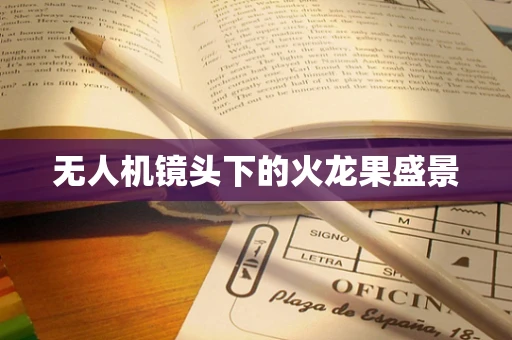 无人机镜头下的火龙果盛景