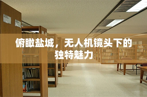 俯瞰盐城，无人机镜头下的独特魅力