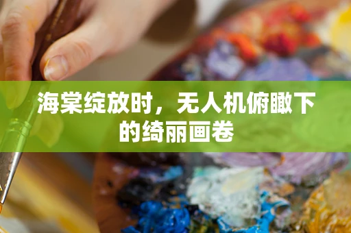 海棠绽放时，无人机俯瞰下的绮丽画卷