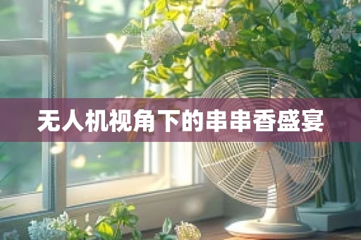 无人机视角下的串串香盛宴