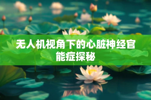 无人机视角下的心脏神经官能症探秘