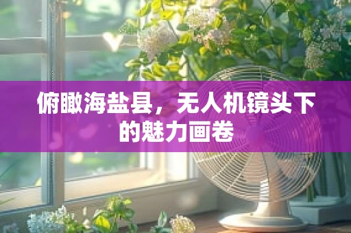 俯瞰海盐县，无人机镜头下的魅力画卷