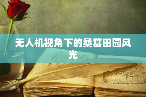 无人机视角下的桑葚田园风光