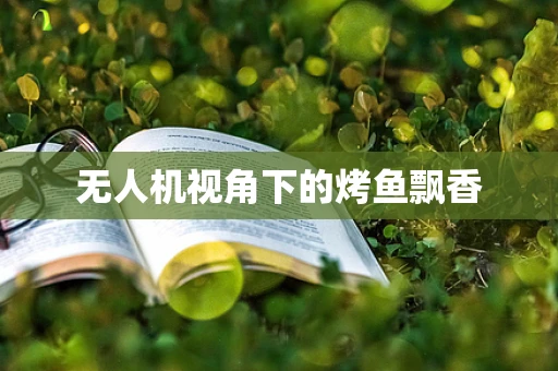 无人机视角下的烤鱼飘香