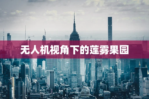 无人机视角下的莲雾果园