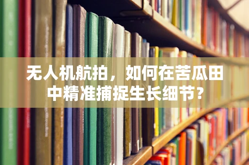 无人机航拍，如何在苦瓜田中精准捕捉生长细节？
