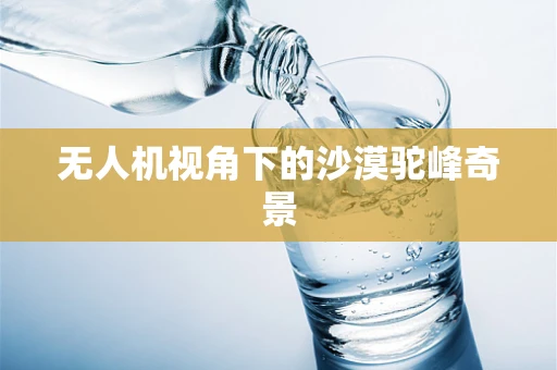 无人机视角下的沙漠驼峰奇景