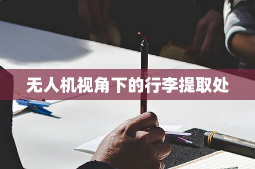无人机视角下的行李提取处