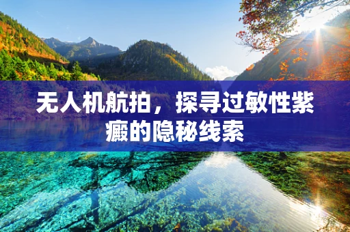 无人机航拍，探寻过敏性紫癜的隐秘线索