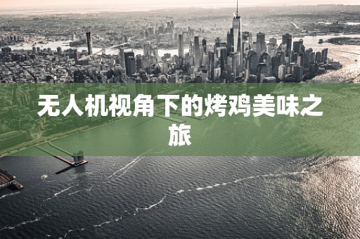 无人机视角下的烤鸡美味之旅