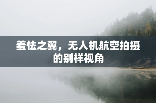 羞怯之翼，无人机航空拍摄的别样视角