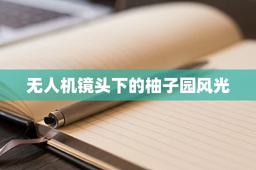 无人机镜头下的柚子园风光