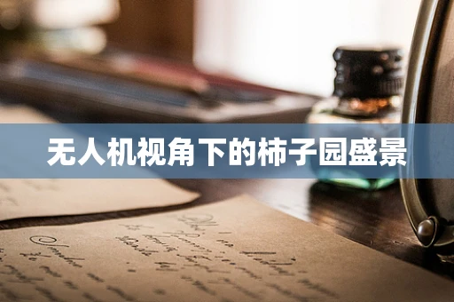 无人机视角下的柿子园盛景