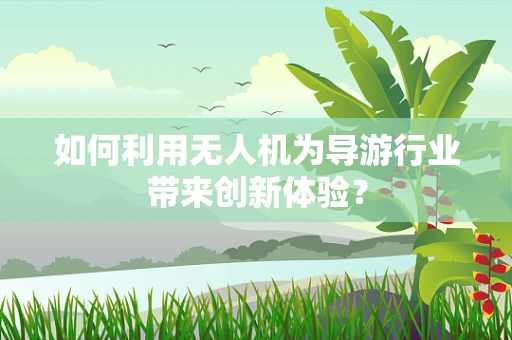 如何利用无人机为导游行业带来创新体验？