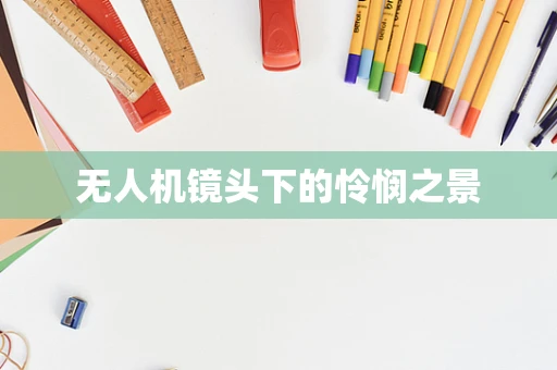 无人机镜头下的怜悯之景
