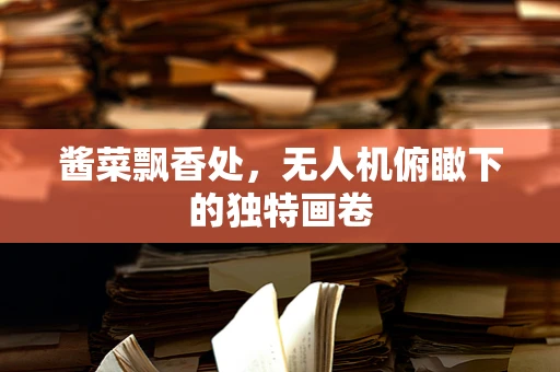 酱菜飘香处，无人机俯瞰下的独特画卷