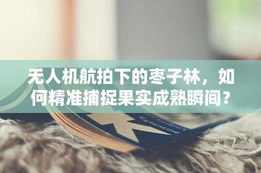 无人机航拍下的枣子林，如何精准捕捉果实成熟瞬间？