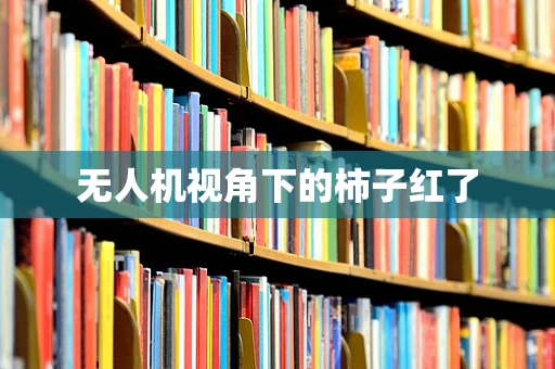 无人机视角下的柿子红了