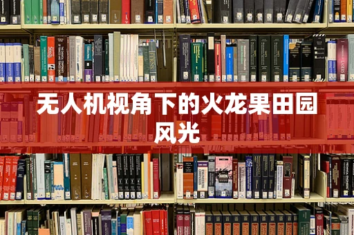无人机视角下的火龙果田园风光