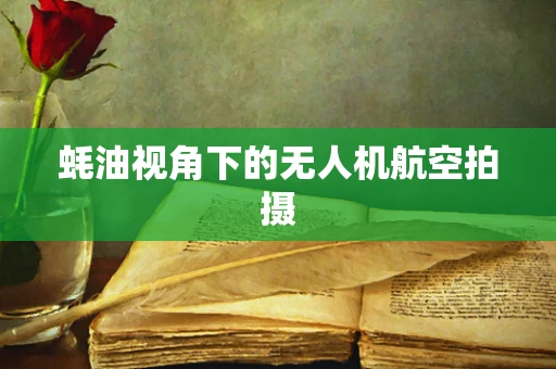 蚝油视角下的无人机航空拍摄