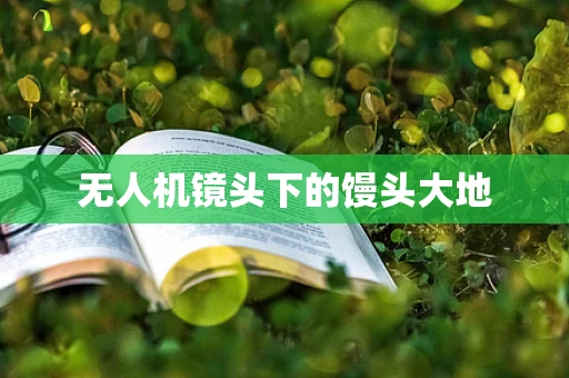 无人机镜头下的馒头大地