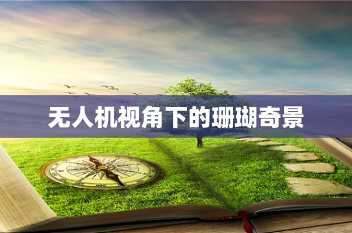 无人机视角下的珊瑚奇景