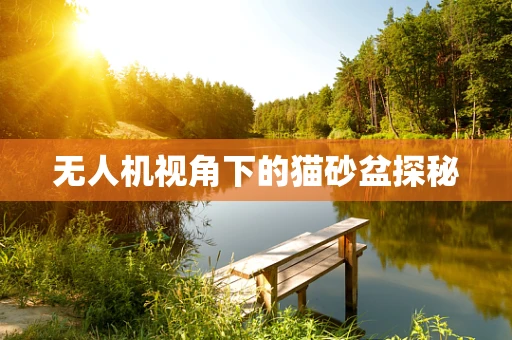 无人机视角下的猫砂盆探秘