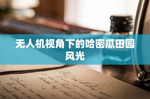 无人机视角下的哈密瓜田园风光