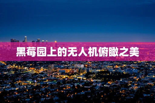 黑莓园上的无人机俯瞰之美