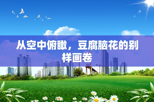 从空中俯瞰，豆腐脑花的别样画卷