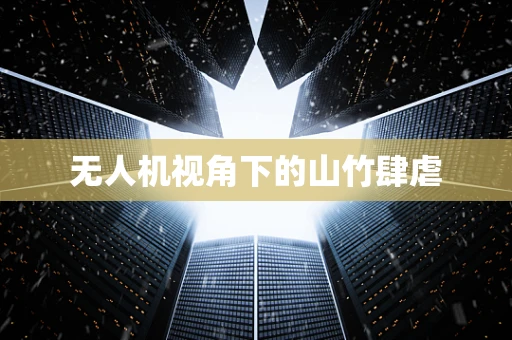 无人机视角下的山竹肆虐