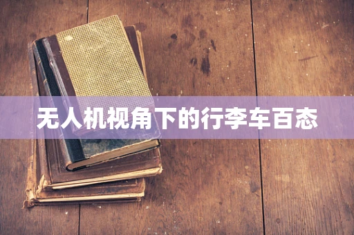 无人机视角下的行李车百态
