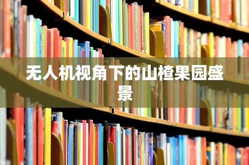 无人机视角下的山楂果园盛景