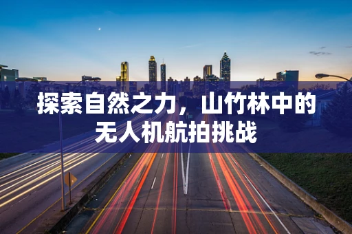 探索自然之力，山竹林中的无人机航拍挑战