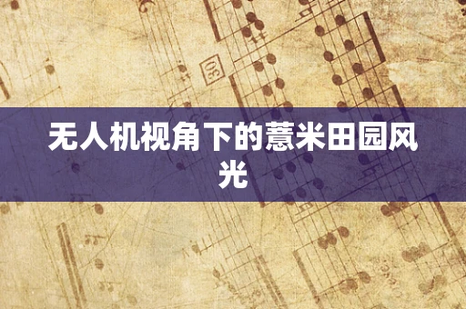 无人机视角下的薏米田园风光