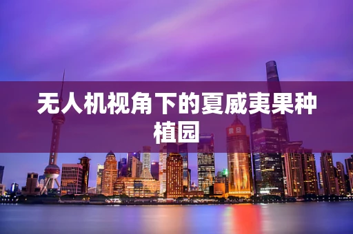 无人机视角下的夏威夷果种植园