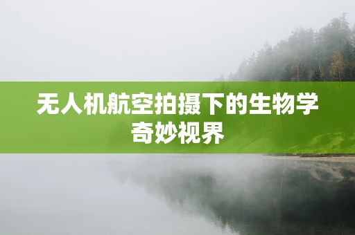 无人机航空拍摄下的生物学奇妙视界