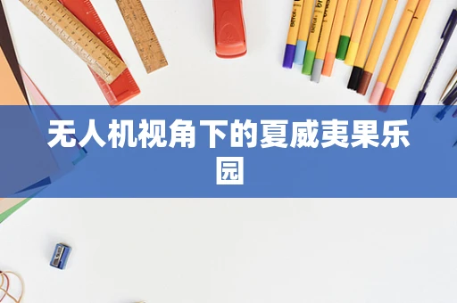 无人机视角下的夏威夷果乐园