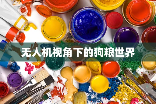 无人机视角下的狗粮世界