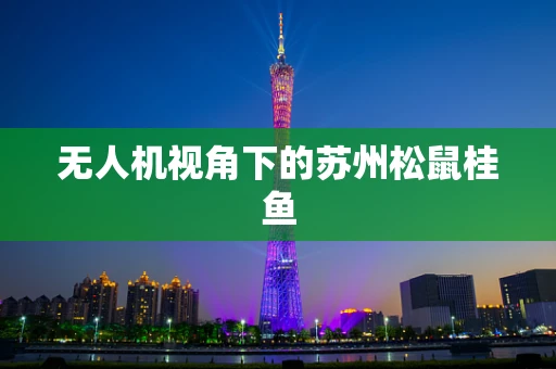 无人机视角下的苏州松鼠桂鱼