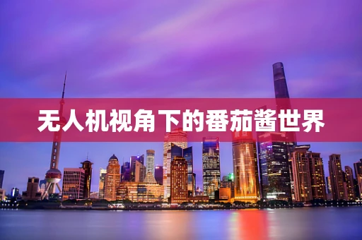 无人机视角下的番茄酱世界