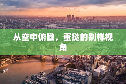 从空中俯瞰，蛋挞的别样视角