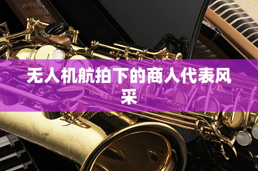 无人机航拍下的商人代表风采