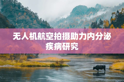 无人机航空拍摄助力内分泌疾病研究