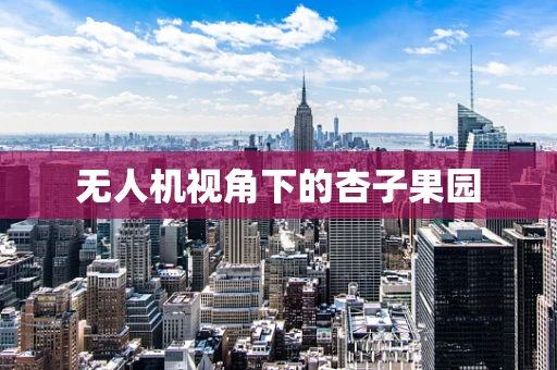 无人机视角下的杏子果园